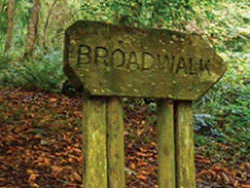 Walk the woodlands