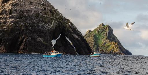 Skellig Islands Eco Boat Tour