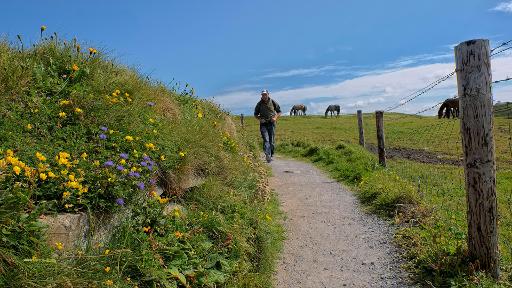 Cliffs of Moher Coastal Walk (Doolin Section)