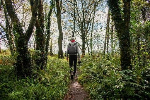 Forest Loop through native woodland