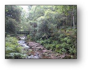 Burncourt River & Bridges