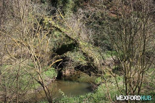 Riverside Woodland Trail