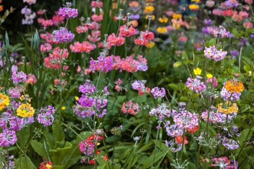 The Ladies' Walled Garden