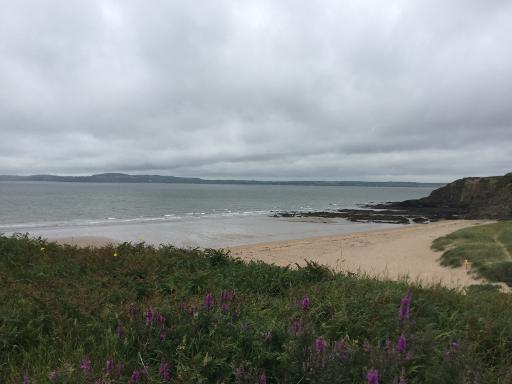 Relax on a secluded golden beach